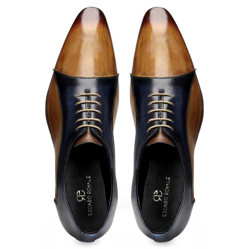 Hawk Derby Shoes in Tan and Blue