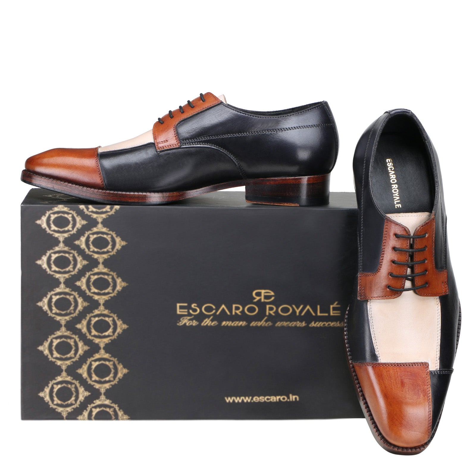 Evokes Designer Derby in Brown