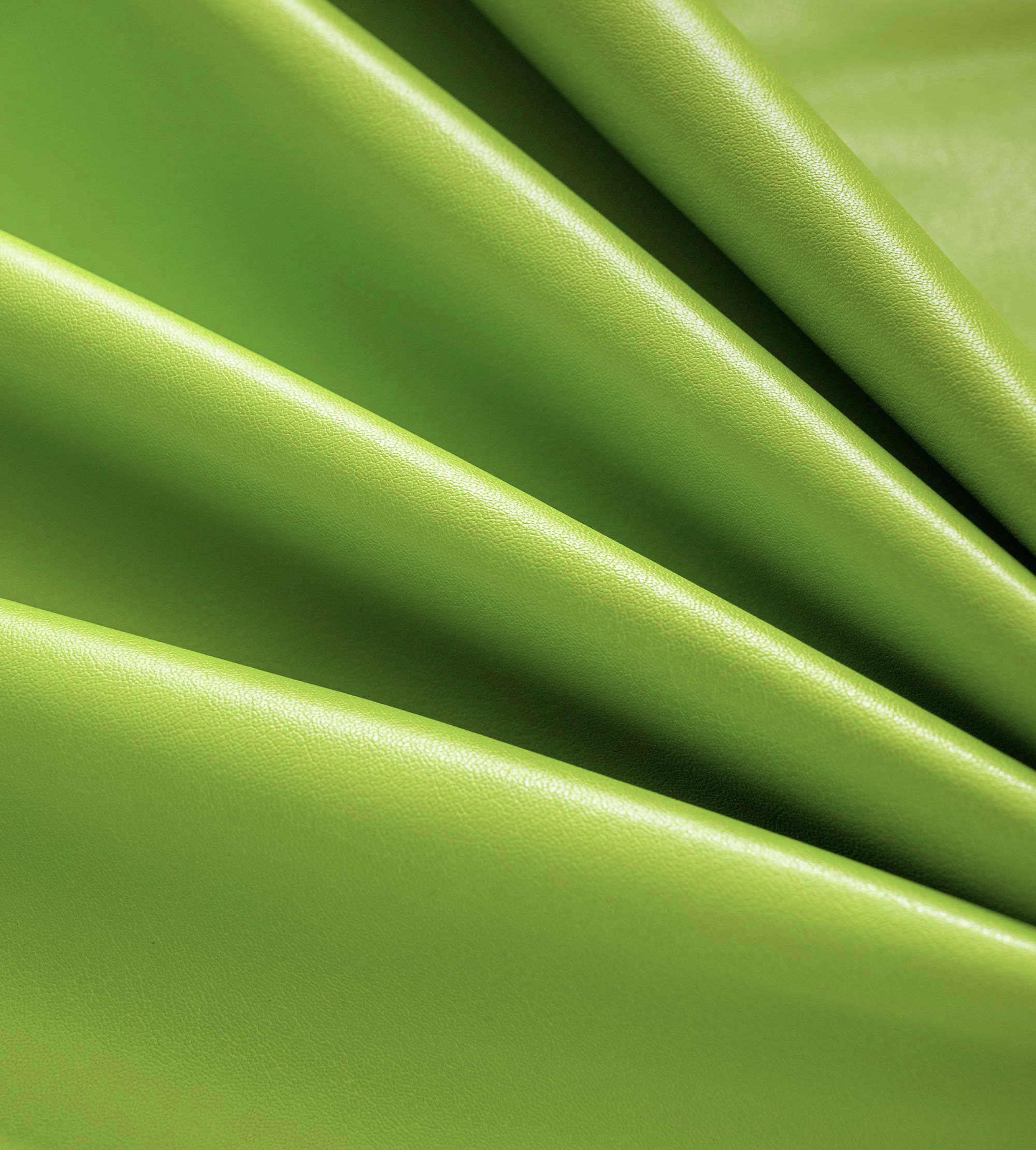 Paparazzi Green Portable Mini Vanity Pouch