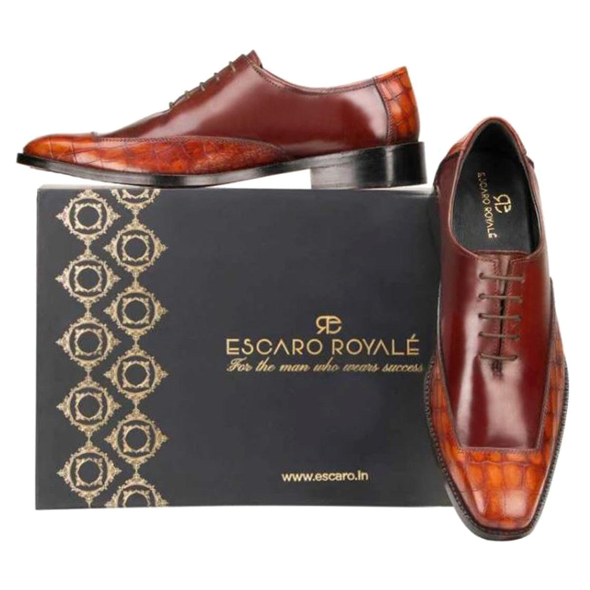 Atticus Oxford Shoes In Brown & Tan / clearance