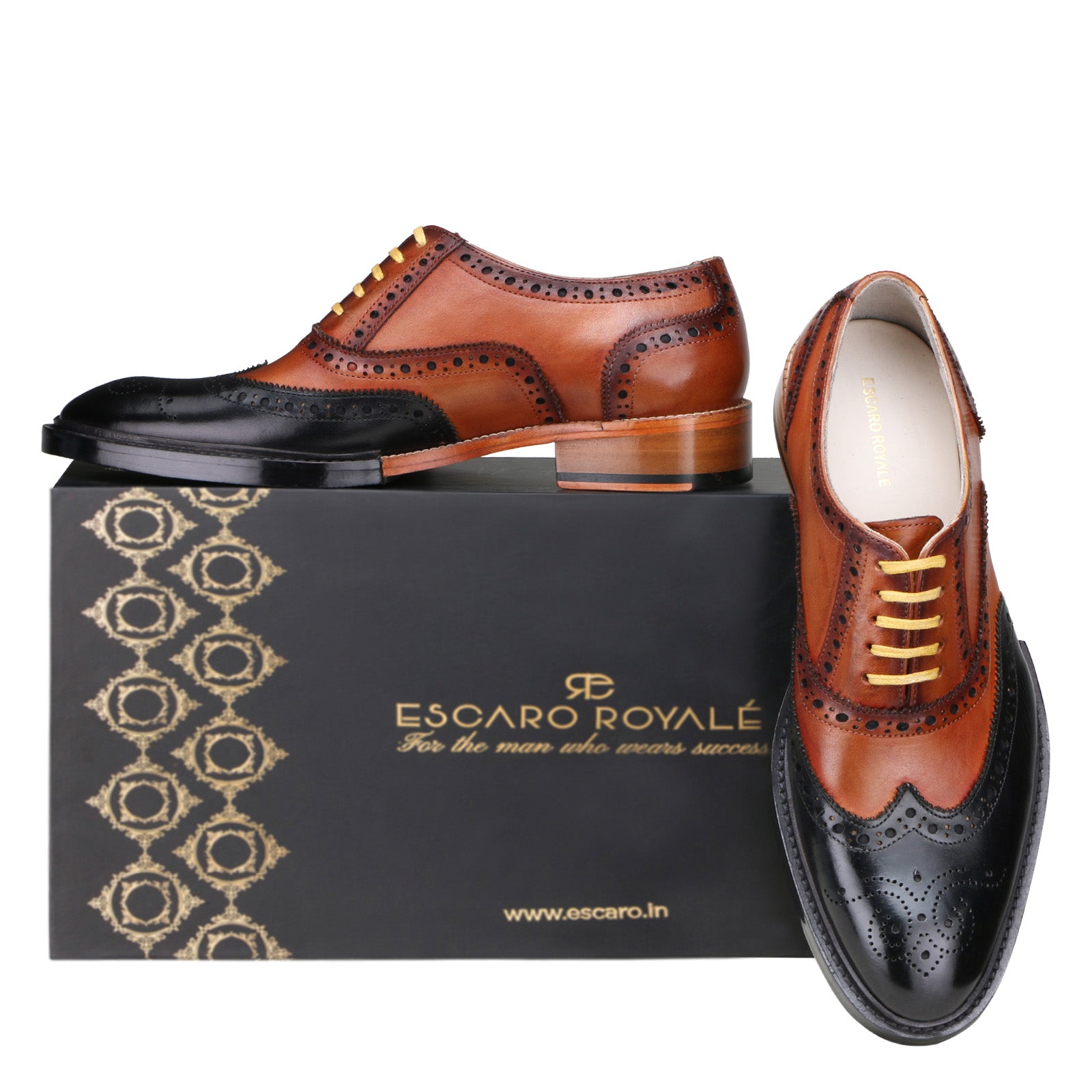 Elan Brogues in Black-Cognac